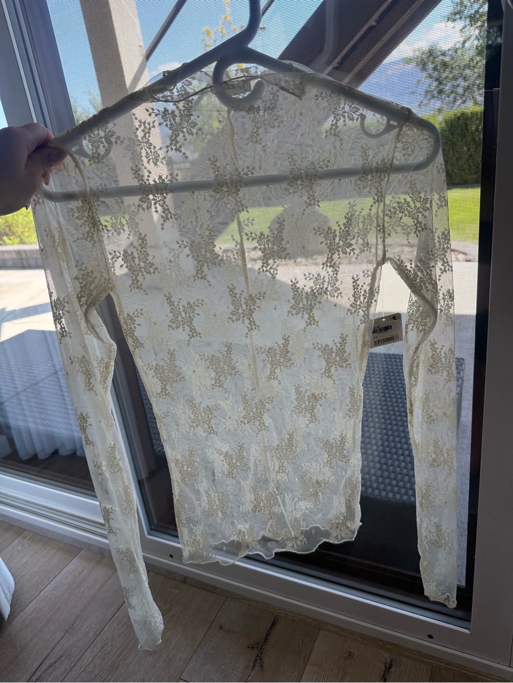 Free People Sheer Lace Long-Sleeve Top in cream